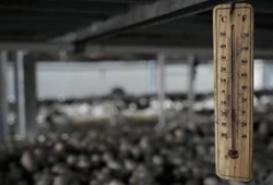 1 odada başladı, şimdi tonlarca ürün satıyor! Artık paraya para demiyor