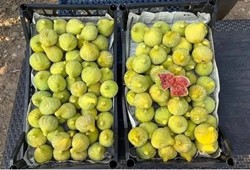 110-bin-lira-maas-verilecek-bu-isi-yapacak-calisanlar-araniyor.jpg