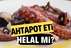 Ahtapot eti helal mi? Ahtapot yemek caiz mi?