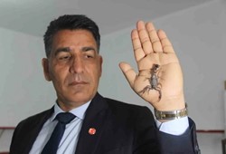Akrep mi Altın mı? Gramı 10 Bin Dolar! Türkiye'de Üretiliyor