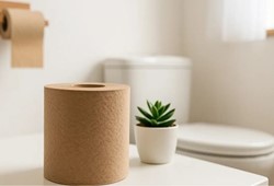 Beyaz tuvalet kâğıdını bıraktılar: Almanların tercihi herkesi şaşkına çevirdi