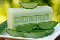aloe-vera-sabununun-faydalari-nelerdir-2025.png
