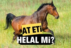 At eti helal mi? At eti yemek caiz mi?