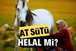 At sütü helal mi? At sütü içmek caiz mi?