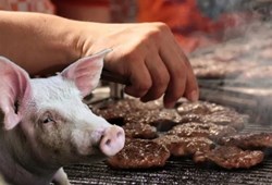 Bakanlıktan domuz eti ile ilgili beklenen açıklama geldi