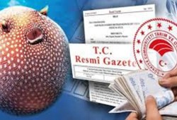 bakanliktan-sasirtan-balik-uyarisi-servet-kazananlar-var-herkes-onun-pesinde.jpg