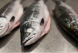 Bağışıklığı güçlendiriyor, enerji veriyor: Bu balığı haftada iki kez tüketin