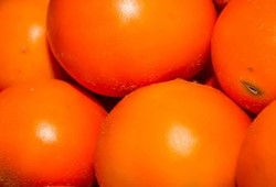 Bu meyveyi yurt dışına götürmek yasak