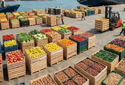 Bulgaristan sınırda durdurdu! Ürünlere giriş izni verilmedi