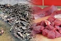 buyuk-skandal-patladi-bu-sehirdeki-etler-saibeli-cikti.jpg
