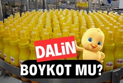 Dalin boykot mu? Dalin hangi ülkenin? Dalin kimin?