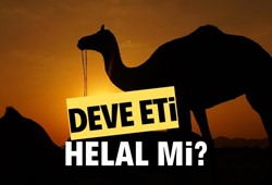Deve eti helal mi? Deve eti yemek caiz mi?