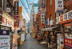 Devletten gençlere müjde! Kore yolculuğu ücretsiz olacak