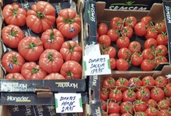 Domateste fiyat uçurumu! Halde 40, manavda 220