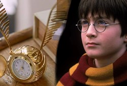 dunya-devi-affetmedi-gumrukte-el-konulan-sahte-harry-potter-urunleri-imha-ediliyor.jpg