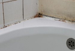 duvardaki-kufu-aninda-siliyor-camasir-suyundan-kat-kat-guclu.jpg