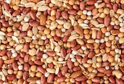 En zararlı kuruyemiş belli oldu: Tuzlu veya tatlılar değil