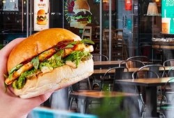 Fare istilası restoran zincirini vurdu: Fareler bastı, şubeler kapandı