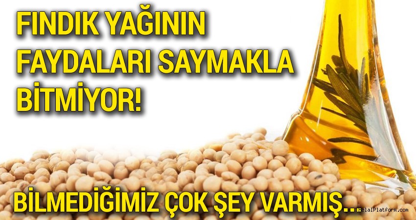 Fındık yağının faydaları saymakla bitmiyor!