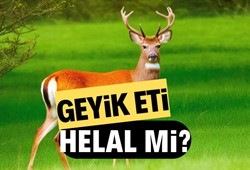 Geyik eti helal mi? Geyik eti yemek caiz mi?