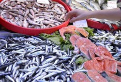 En çok satılan balık değişti: İşte yeni bir numara balık