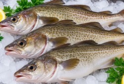hamsinin-listedeki-yeri-sasirtti-protein-orani-en-yuksek-baliklar-belli-oldu.jpg