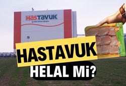 HasTavuk ürünleri helal mi? HasTavuk ürünleri güvenilir mi?