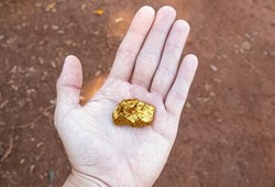 Çöpe giden servet! Herkes atıyor ama içinde 22 ayar altın olabiliyor