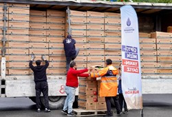 ibbden-istanbul-ciftcisine-buyuk-mujde-2026-yazlik-fide-destegi-basliyor.jpg