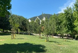 ibbden-istanbulda-bir-ilk-park-ve-bahcelere-meyve-agaclari-dikiliyor.jpg
