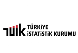 insaat-ve-hizmet-sektorleri-istihdami-surukledi-ucretli-calisan-sayisi-yukseldi.png
