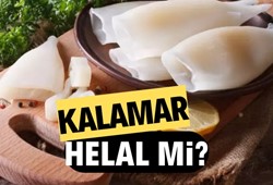 Kalamar helal mi? Kalamar yemek caiz mi?