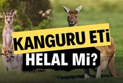 kanguru-eti-helal-mi-kanguru-eti-yemek-caiz-mi.jpg