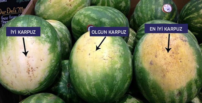 En İyi Karpuzu Seçmenin 6 Yolu