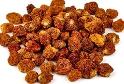 Kilosu 500 liraya satılıyor: Yetiştireni bir yılda ev sahibi yapıyor