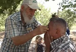 Kırlangıç otu göz bozukluklarını tedavi edebiliyor mu? Gözlük kullananlara yeni çare