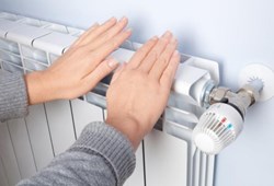 Kışın iyi ısıtması için ekim ayında peteklere bu işlemi uygulayın