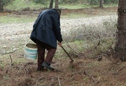 Herkes kışın bayılarak yiyor ama karaciğeri tüketiyor