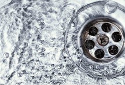 Lavabo açmada yeni trend! Tesisatçıların yıllardır kullandığı yöntem ifşa oldu