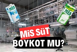 Mis Süt boykot mu? Mis Süt hangi ülkenin? Mis Süt kimin?