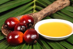 Palm yağı nedir? Palm yağının zararları nelerdir? Palm yağı neden faydalı değildir?