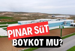 Pınar Süt boykot mu? Pınar hangi ülkenin?