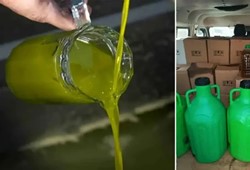 Piyasaya sürülecekti: 6 bin litre sahte zeytinyağı yakalandı