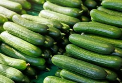 salataliklarin-haftalarca-taptaze-kalmasini-saglayan-yontem.jpg
