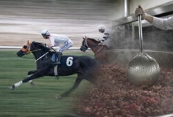 Aşevinde kavurma yapılan yarış atı milyonluk ikramiye kazandırmış