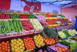 Seralarda ürün kıtlığı, fiyatları patlattı: 500 TL’ye dayandı