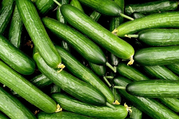 Marketlerde salatalık stokları tükendi! Nedeni ise herkesi şaşırttı!