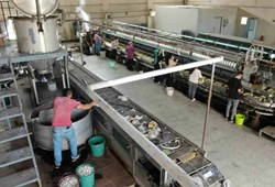 Tamamı ithal ediliyordu, artık Diyarbakır'da üretiliyor!