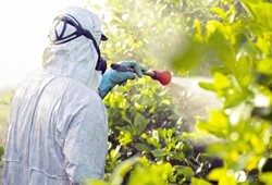 Tarım ilacı devlerine soruşturma: BASF ile HEKTAŞ ve GÜBRETAŞ bağlantılı şirketler listede