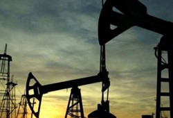 Toprağın altı servet dolu! Bölgeye 232 sondaj kuyusu kuruluyor